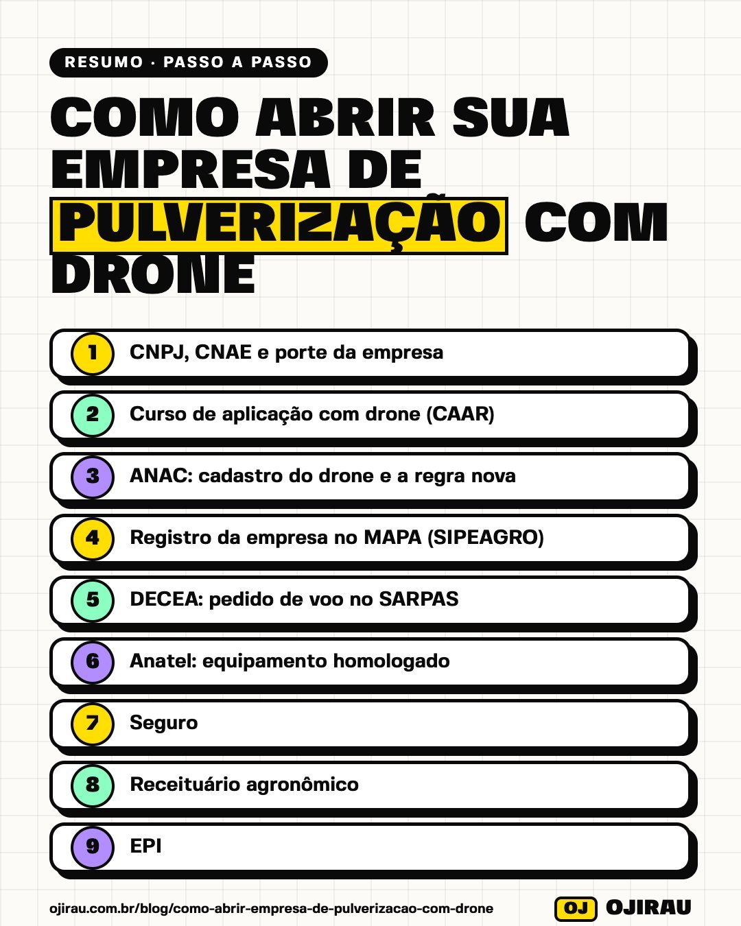 Resumo em imagem: Como abrir empresa de pulverização com drone